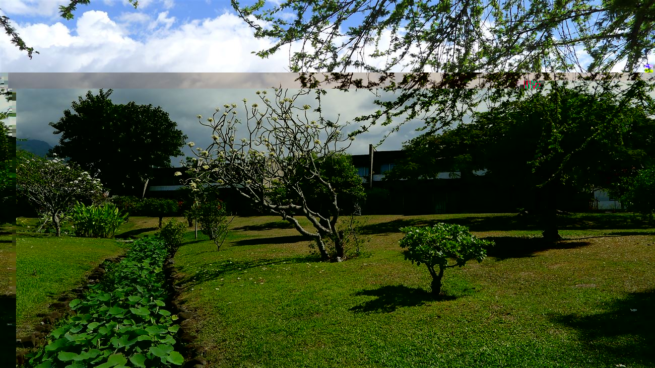 Royal Tahitien - Polynesia Select