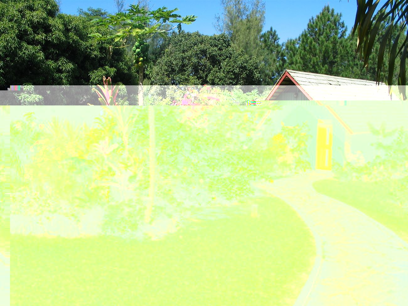 Atiu Villas - Atiu Island - Polynesia Select